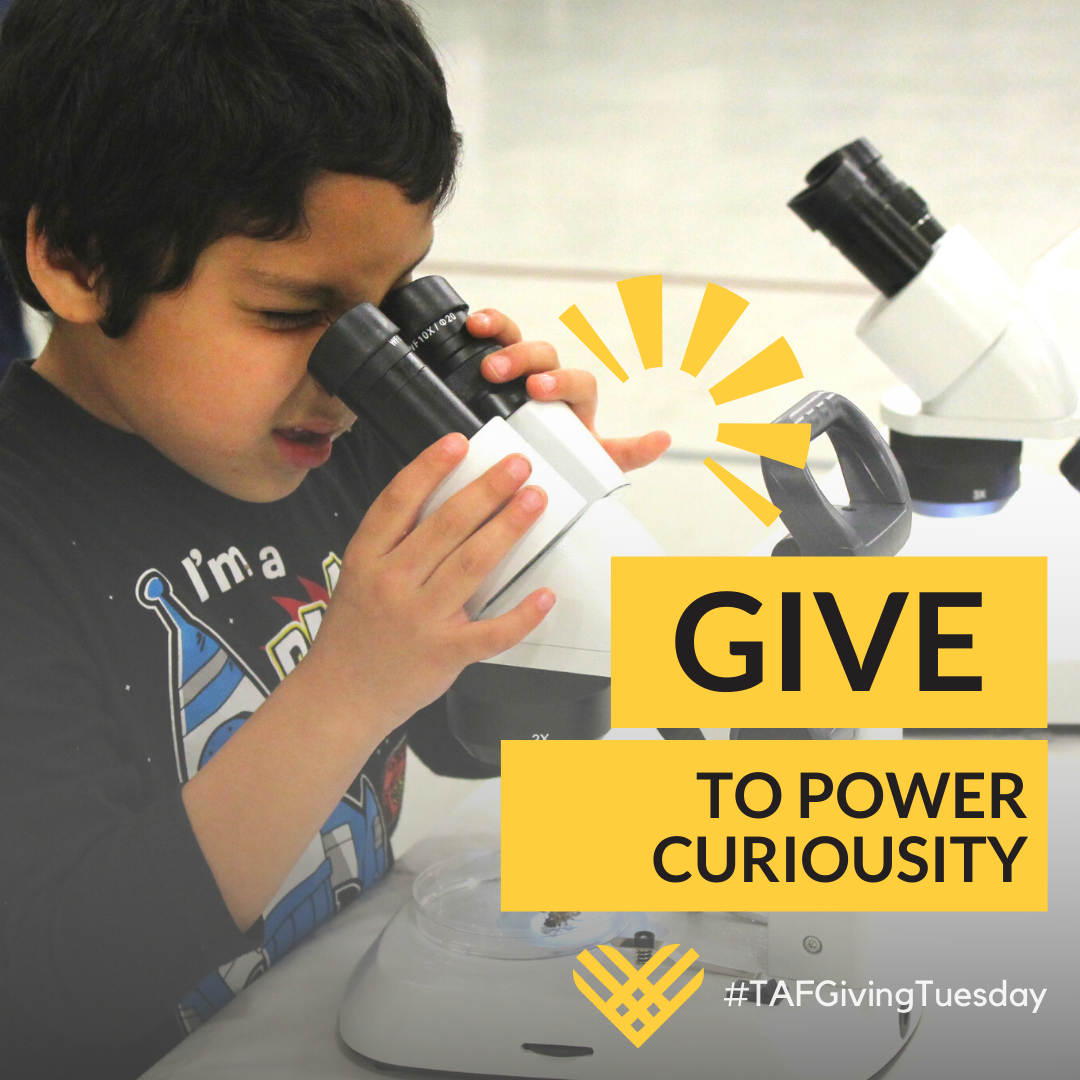 TAF #GivingTuesday Give Graphic