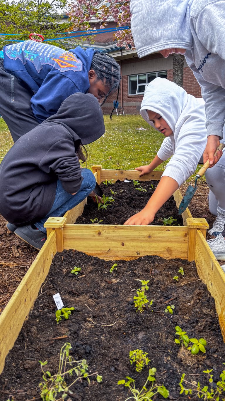 Students work together alongside coaches, teachers, and classmatesto set up garden boxes of various herbs