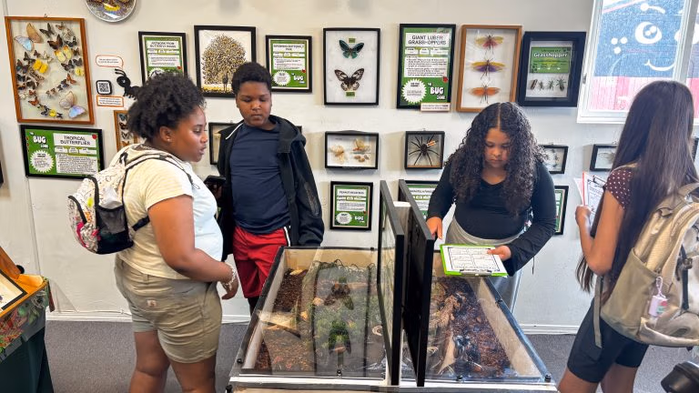 jumpstart_reptile-museum_00040